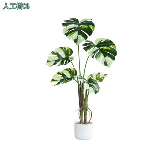 1000~OFFN[| lHϗtA tFCNO[ ^ ƒ 悯 oRj[   c { Iȑ z̃MtgɍœK ꂢɂ₷ gsJA st