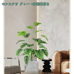 1000~OFFN[| lHϗtA tFCNO[ ʎ { ^ lHA ϗt CeA  ItBX  ȒP  ƒ 悯oRj[  Iȑ z