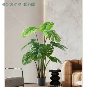 lHϗtA tFCNO[ CeA  ItBX rO  ΂̂炵 傫 ϗtA zj Vzj ȒP sv Iȑ z̃Mtg t