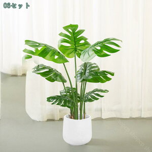 2000�~OFF�N�[�|�� �l�H�ϗt�A�� ��^ �t�F�C�N�O���[�� �t�F�C�N�O���[�� ����I�ȑ��� ���R�Ń��A�� ����I�ȑ��� �ƒ� ���悯�o���R�j�[ ���� ���� ��c�� �ȒP�� �����s�v �Q���쏜�s�v