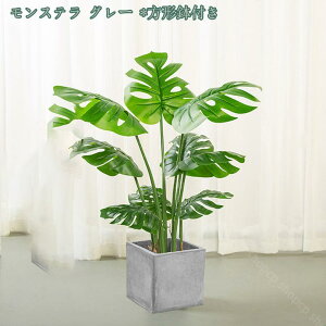 lHϗtA tFCNO[ CeA  ItBX rO  ΂̂炵 傫 ϗtA zj Vzj ȒP sv Iȑ z̃Mtg t