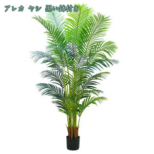 1000~OFFN[| lHϗtA ^ CeA { RŃA tFCNO[ ^ lHϗtA A O  O ƒ ItBX p _ lHϗtA _ȑ