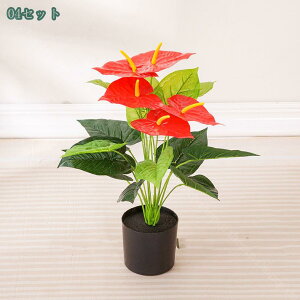 tFCNO[ ϗA lHϗt tFCNϗtA ^ lHϗtA tFCNO[ ^ p  Vv ItBX  CeA ^ t  ϗtA Vzj