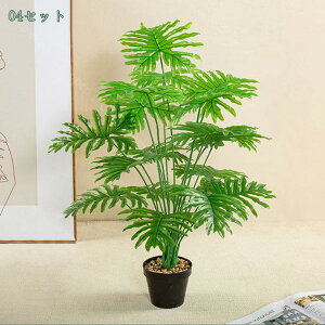 500~OFFN[| lHϗtA CeA ^ _ k  ItBX  { st RŃA fBXvC IuWF u ze [ j JXj JƏj