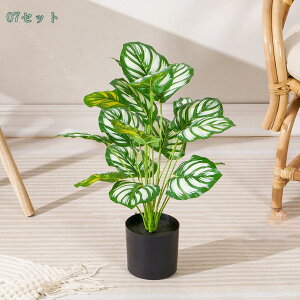 lHϗtA CeA ^ _ k  ItBX  { st RŃA fBXvC IuWF u ze [ j JXj JƏj o[[VF