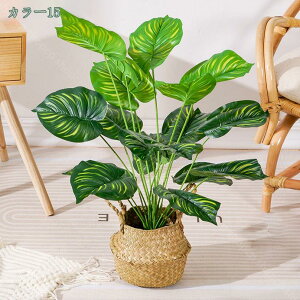 500~OFFN[| lHϗtA CeA ^ _ k  ItBX  { st RŃA fBXvC IuWF u ze [ j JXj JƏj