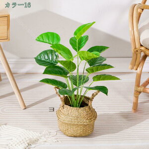 500~OFFN[| lHϗtA CeA ^ _ k  ItBX  { st RŃA fBXvC IuWF u ze [ j JXj JƏj