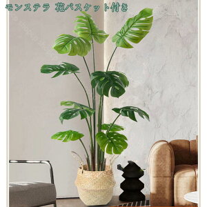 2000~OFFN[| lHϗtA CeA ^ _ k  ItBX  { st RŃA fBXvC IuWF u ze [ j JXj JƏj