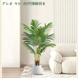 2000~OFFN[| lHϗtA ^ _ k  RŃA st CeA { ItBX  fBXvC IuWF u ze [ j JXj JƏj