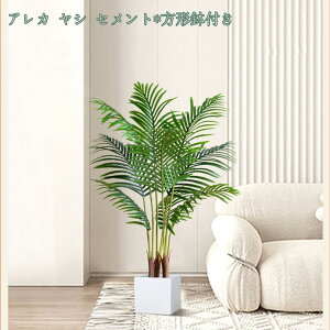 2000~OFFN[| lHϗtA ^ _ k  RŃA st CeA { ItBX  fBXvC IuWF u ze [ j JXj JƏj