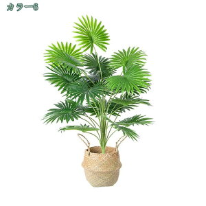 1000~OFFN[| lHϗtA ^ y RŃA |gX  CeA tFCNO[ Mtg v[g JXj Vzj aj j  X^CbV 