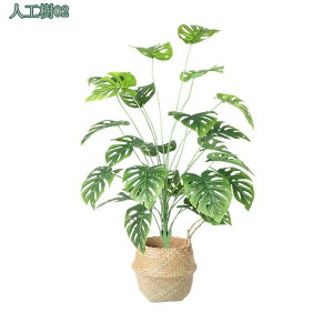 lHϗtA ^ y RŃA |gX  CeA tFCNO[ Mtg v[g JXj Vzj aj j  X^CbV p lHA 傫