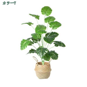 3500~OFFN[| tFCNO[ tFCNϗtA ^ A ϗt CeA lHϗtA  ze [ ډB  ItBX CeA sv bsv 