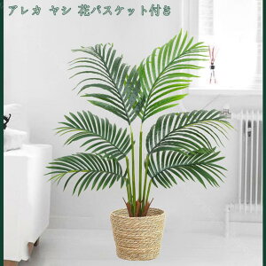 tFCNO[ ^ ϗtA tFCN A CeA lHϗtA  킢 Lb` rO _CjO Q lHϗtA CeA st sv lHϗt