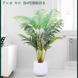 2000~OFFN[| lHϗtA tFCNO[ lHϗtA ^ y RŃA lHϗtA ChA G lHA rO ItBX  O  ItBX A CeA