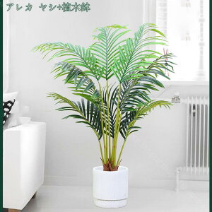 1000~OFFN[| tFCNO[ ^ ϗtA tFCN A CeA lHϗtA  킢 Lb` rO _CjO Q lHϗtA CeA st 