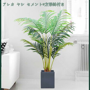 2000~OFFN[| lHϗtA tFCNO[ lHϗtA ^ y RŃA lHϗtA ChA G lHA rO ItBX  O  ItBX A CeA