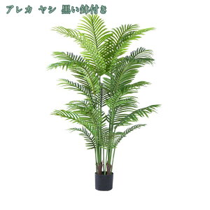 1000~OFFN[| tFCNO[ lHϗtA ^ tFCNA MѐA Xe c[ A  O z[K[f p tFCNO[ { Vv ItB