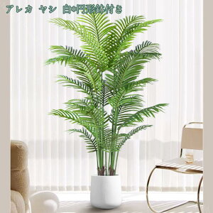 1000~OFFN[| tFCNO[ lHϗtA ^ tFCNA MѐA Xe c[ A  O z[K[f p tFCNO[ { Vv ItB