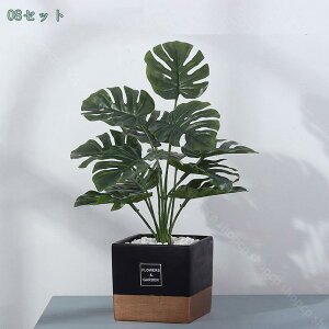 500~OFFN[| lHϗtA ~jϗtA  }`J[ ~j j Mtg v[g a JX J@j  lHϗtA  A CeA ^ tFCN VNt