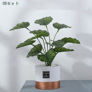 1000~OFFN[| tFCNO[ ϗtA ~j CeA x_[ lHϗtA  A CeA ͂Ȃ  ʏ   Ȃ A ^  RpN