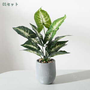 tFCNO[ ϗtA ~j CeA x_[ lHϗtA  A CeA ͂Ȃ  ʏ   Ȃ A ^  RpNg v[g 