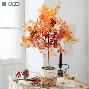 2000~OFFN[| ϗtA lHϗtA 񂹐A tFCNO[ ϗtA ̂Ȃ sv bsv CeA v[g Mtg vX`bN lHϗtA Ϗܗp 