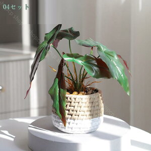 Xe ~j tFCNO[ lHϗtA  CeA  tFCN O[ JƏj 񂹐A A lHϗtA MѐA CeA v[g 蕨 j It