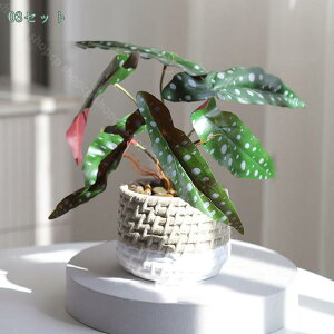 Xe ~j tFCNO[ lHϗtA  CeA  tFCN O[ JƏj 񂹐A A lHϗtA MѐA CeA v[g 蕨 j It