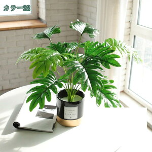 500~OFFN[| ϗtA ~j  fXNTCh IV ~jv^[ Ϗܗp CeA j v[g 蕨 Mtg zj V j j ΂̔A ~j A