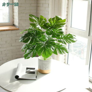 1000~OFFN[| tFCNO[ lHϗtA ϗtA tFCN A ӂ[  ϗtA tFCNO[ ϗtA tFCN CeA   lHϗtA 