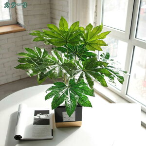 300~OFFN[| ϗtA ~j  fXNTCh IV ~jv^[ Ϗܗp CeA j v[g 蕨 Mtg zj V j j ΂̔A ~j A