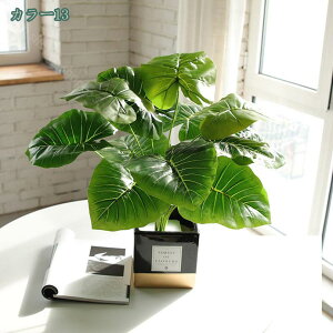 500~OFFN[| ϗtA ~j  fXNTCh IV ~jv^[ Ϗܗp CeA j v[g 蕨 Mtg zj V j j ΂̔A ~j A