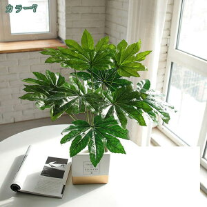 1000~OFFN[| tFCNO[ lHϗtA ϗtA tFCN A ӂ[  ϗtA tFCNO[ ϗtA tFCN CeA   lHϗtA 