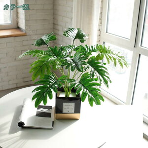 1000~OFFN[| tFCNO[ lHϗtA ϗtA tFCN A ӂ[  ϗtA tFCNO[ ϗtA tFCN CeA   lHϗtA 