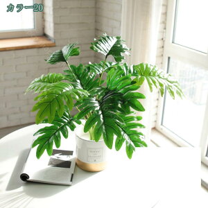 1000~OFFN[| tFCNO[ lHϗtA ϗtA tFCN A ӂ[  ϗtA tFCNO[ ϗtA tFCN CeA   lHϗtA 