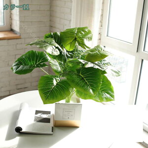 300~OFFN[| ϗtA ~j  fXNTCh IV ~jv^[ Ϗܗp CeA j v[g 蕨 Mtg zj V j j ΂̔A ~j A