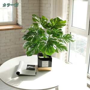 500~OFFN[| ϗtA ~j  fXNTCh IV ~jv^[ Ϗܗp CeA j v[g 蕨 Mtg zj V j j ΂̔A ~j A