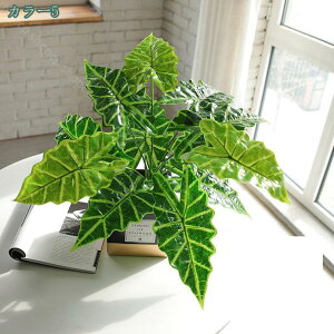 1000~OFFN[| tFCNO[ lHϗtA ϗtA tFCN A ӂ[  ϗtA tFCNO[ ϗtA tFCN CeA   lHϗtA 