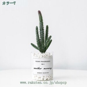 Xe ~j tFCNO[ lHϗtA  CeA  tFCN O[ JƏj 񂹐A A lHϗtA MѐA CeA v[g 蕨 j It