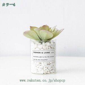 500~OFFN[| Xe lHϗtA ~jϗtA  }`J[ ~j j Mtg v[g a JX J@j  lHϗtA  A CeA ^ VN