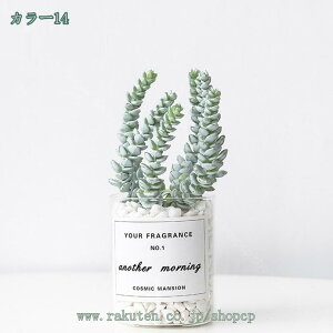 Xe ~j tFCNO[ lHϗtA  CeA  tFCN O[ JƏj 񂹐A A lHϗtA MѐA CeA v[g 蕨 j It