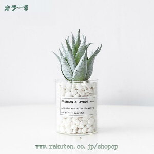 300~OFFN[| Xe lHϗtA ~jϗtA  }`J[ ~j j Mtg v[g a JX J@j  lHϗtA  A CeA ^ VN