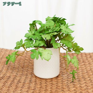 1000~OFFN[|  lHϗtA Ӓ  lHϗtA A Ԕ  ̓ Mtg ̓ v[gBe j lHA vX`bN ƒ ItBXp e[u 