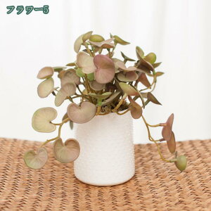  lHϗtA Ӓ  lHϗtA A Ԕ  ̓ Mtg ̓ v[gBe j lHA vX`bN ƒ ItBXp e[u CeA lH