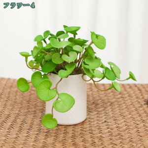 1000~OFFN[|  lHϗtA Ӓ  lHϗtA A Ԕ  ̓ Mtg ̓ v[gBe j lHA vX`bN ƒ ItBXp e[u 