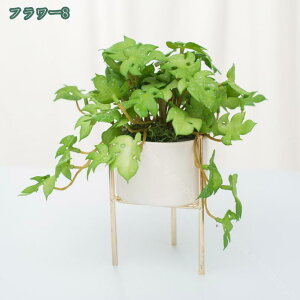 1000~OFFN[|  lHϗtA Ӓ  lHϗtA A Ԕ  ̓ Mtg ̓ v[gBe j lHA vX`bN ƒ ItBXp e[u 