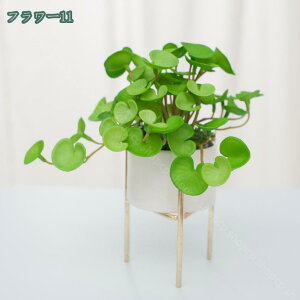 1000~OFFN[|  lHϗtA Ӓ  lHϗtA A Ԕ  ̓ Mtg ̓ v[gBe j lHA vX`bN ƒ ItBXp e[u 