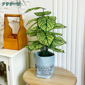 1000~OFFN[| ϗtA Xe A  tFCNO[ lHϗtA  tFCN^ CeA sv bsv Vzj ̓ ̓ Mtg Ղ 