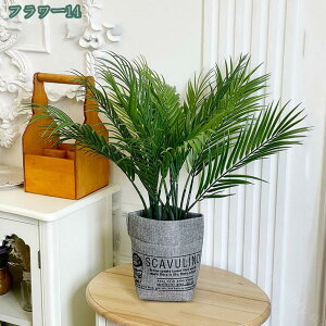 1000~OFFN[| ϗtA Xe A  tFCNO[ lHϗtA  tFCN^ CeA sv bsv Vzj ̓ ̓ Mtg Ղ 